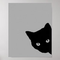 Aspect latéral Chat Noir