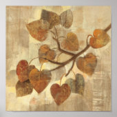 Poster Aspen (Devant)