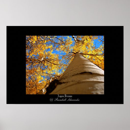 Poster Aspen Dreams (Devant)