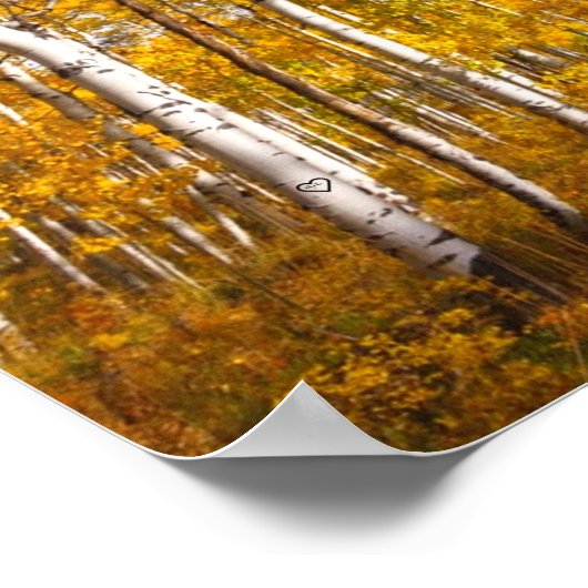 Poster Aspen Groove Feuilles de automne jaunes (Coin)