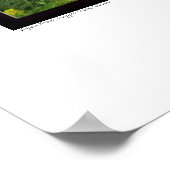 Poster Aspen Grove, Cripple Creek, Colorado (Coin)