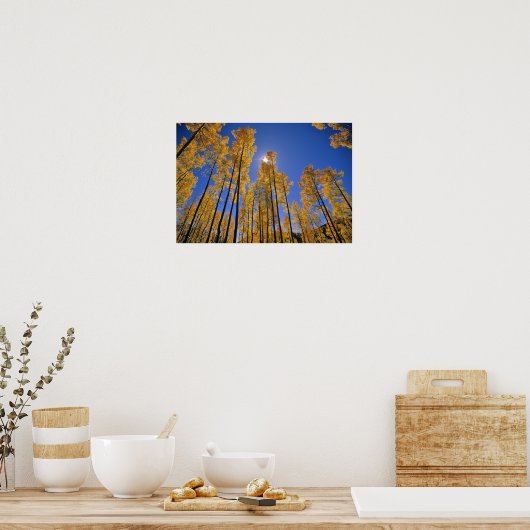 Poster Aspen grove in autumn in the San Juan Range of (Cuisine)