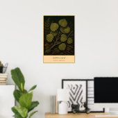 Poster Aspen Leaf – Vintage Botanical Illustration (Bureau à domicile)