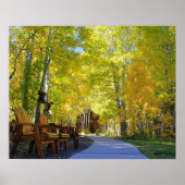 Poster "Aspen Walkway", Vue au sol, automne (Devant)