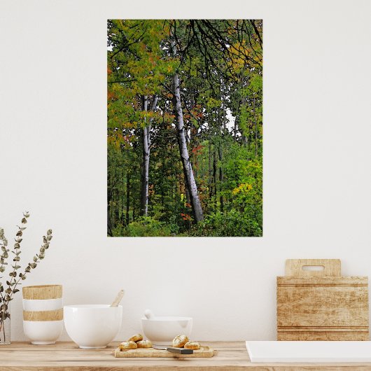 Poster Aspens d'automne (Cuisine)