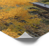 Poster Aspens en Pins de Taos (Coin)