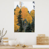 Poster Aspens en Pins de Taos (Cuisine)