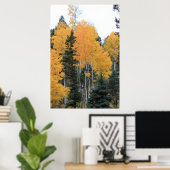 Poster Aspens en Pins de Taos (Bureau à domicile)