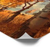 Poster Aspens gloire (Coin)