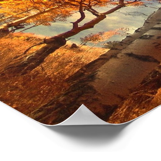 Poster Aspens gloire (Coin)