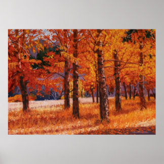 Poster Aspens of Colorado in Beautiful Autumn Splendor