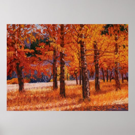 Poster Aspens of Colorado in Beautiful Autumn Splendor (Devant)