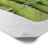 Poster Asperges 2013 (Coin)