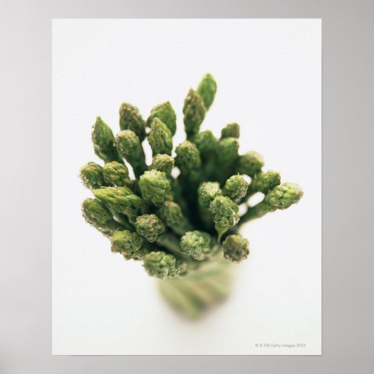 Poster Asperges vertes (Devant)