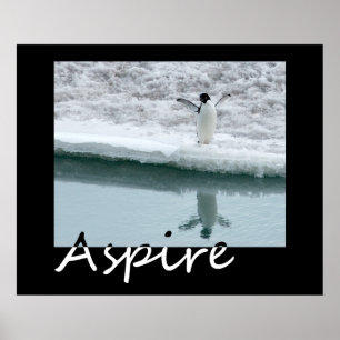 Poster Aspire