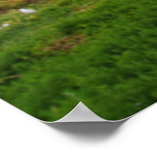 Poster Aspire à inspirer (Coin)