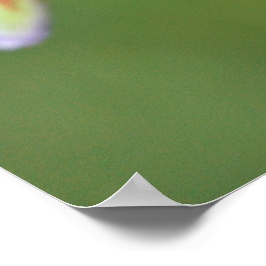 Poster Assassin insecte mangeant une abeille (Coin)