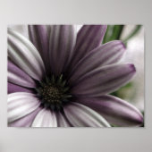 Poster Assez (Devant)