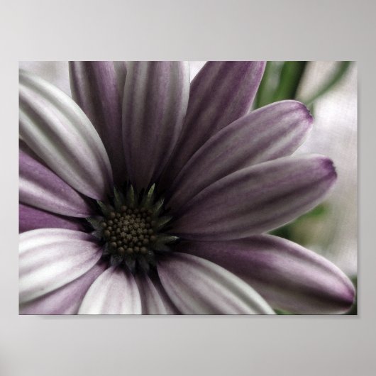 Poster Assez (Devant)