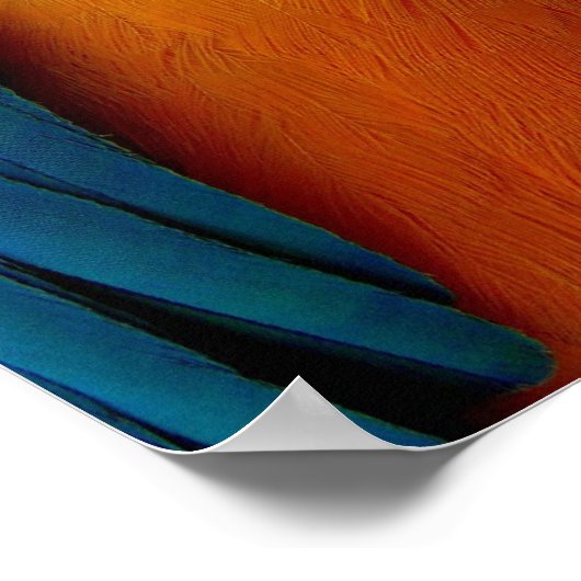 Poster Assis Pour Vous (Coin)