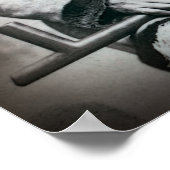 POSTER ASSISTANCE BULL LAKOTA CHEF 1884 (Coin)