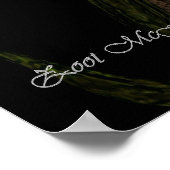 Poster Assistant (Coin)