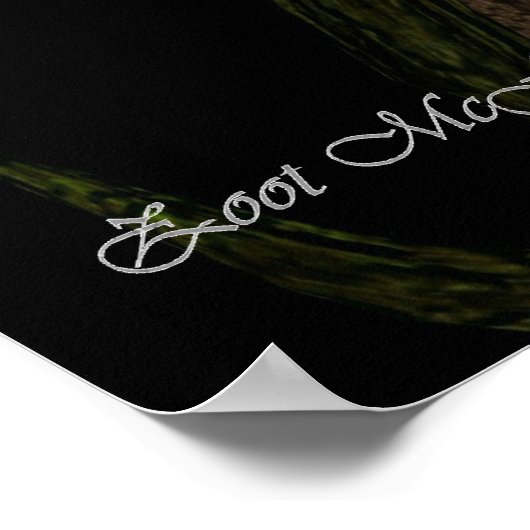 Poster Assistant (Coin)