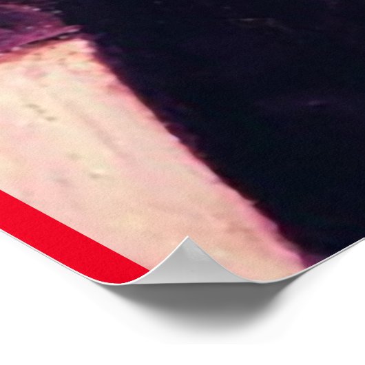 POSTER ASSISTANT DE VOL OZ VOL (Coin)