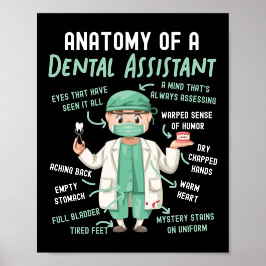 Poster Assistant Dentaire Anatomie Dentaire D'Un Dentaire (Devant)
