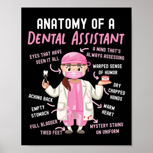 Poster Assistant Dentaire Anatomie Dentaire D'Un Dentaire (Devant)