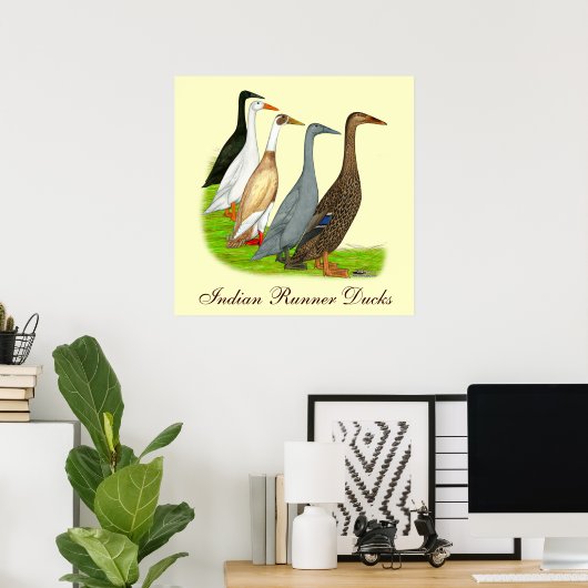 Poster Assortiment de canard coureur (Bureau à domicile)