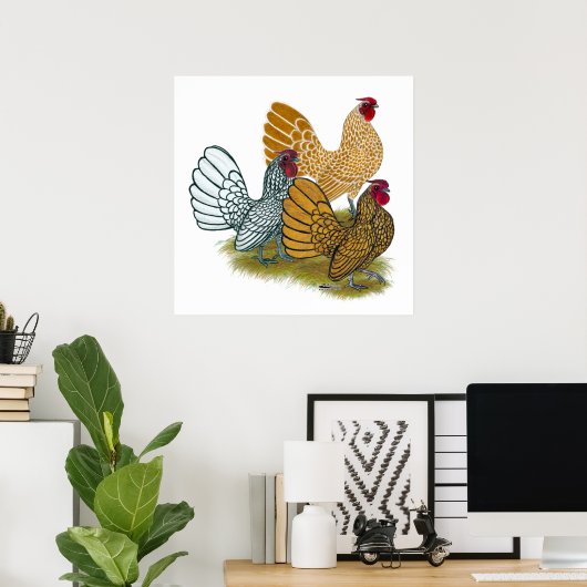 Poster Assortiment de Sebright Rooster (Bureau à domicile)