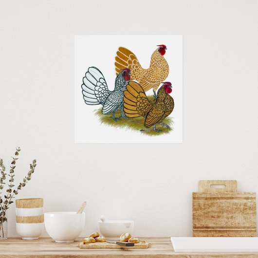 Poster Assortiment de Sebright Rooster (Cuisine)
