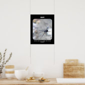 Poster assurance-vie toujours à l'air libre (Cuisine)
