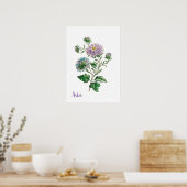 Poster Aster botanique à l'aquarelle bleue et violette (Cuisine)