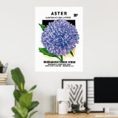 Poster Aster Vintage Seed Packet (Bureau à domicile)