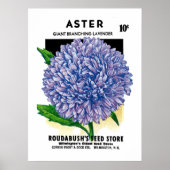 Poster Aster Vintage Seed Packet (Devant)
