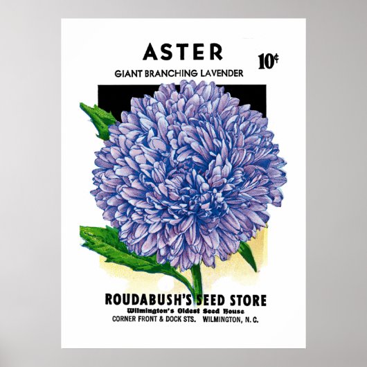 Poster Aster Vintage Seed Packet (Devant)