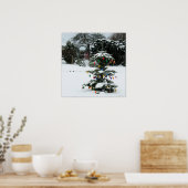 Poster asterium (Cuisine)