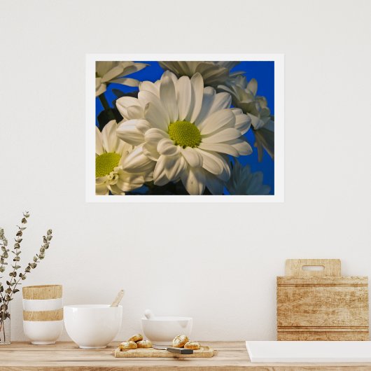 Poster Asters (Cuisine)