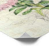 Poster Asters nains vintages à fleurs (Coin)