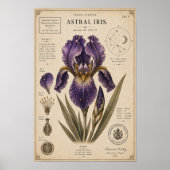 Poster Astral Iris Musée Victorien de Botanique (Devant)