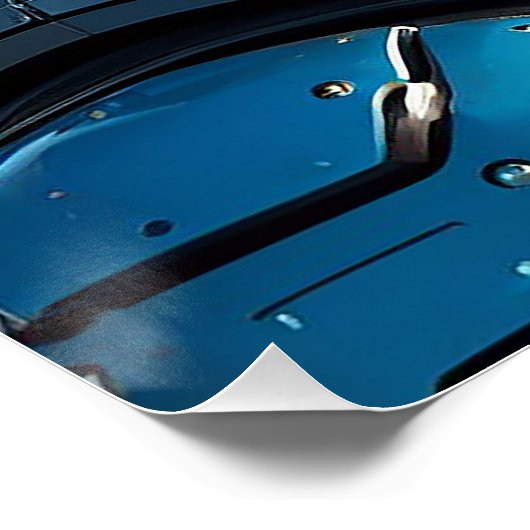 Poster Astro Fox (Coin)