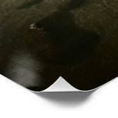 Poster Astúrias Beach Guarujá Brésil (Coin)