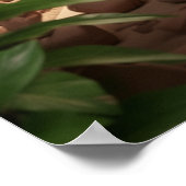 Poster Atelier Kagu (Coin)