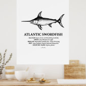 Poster Atlantic Swordfish Scientific Illustration  (Cuisine)