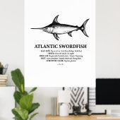 Poster Atlantic Swordfish Scientific Illustration  (Bureau à domicile)