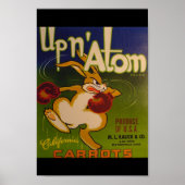 Poster Atom N (Devant)