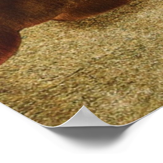 Poster Attaque cardiaque (Coin)