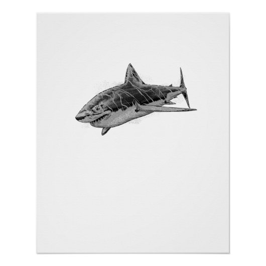 Poster Attaque de requin (Devant)